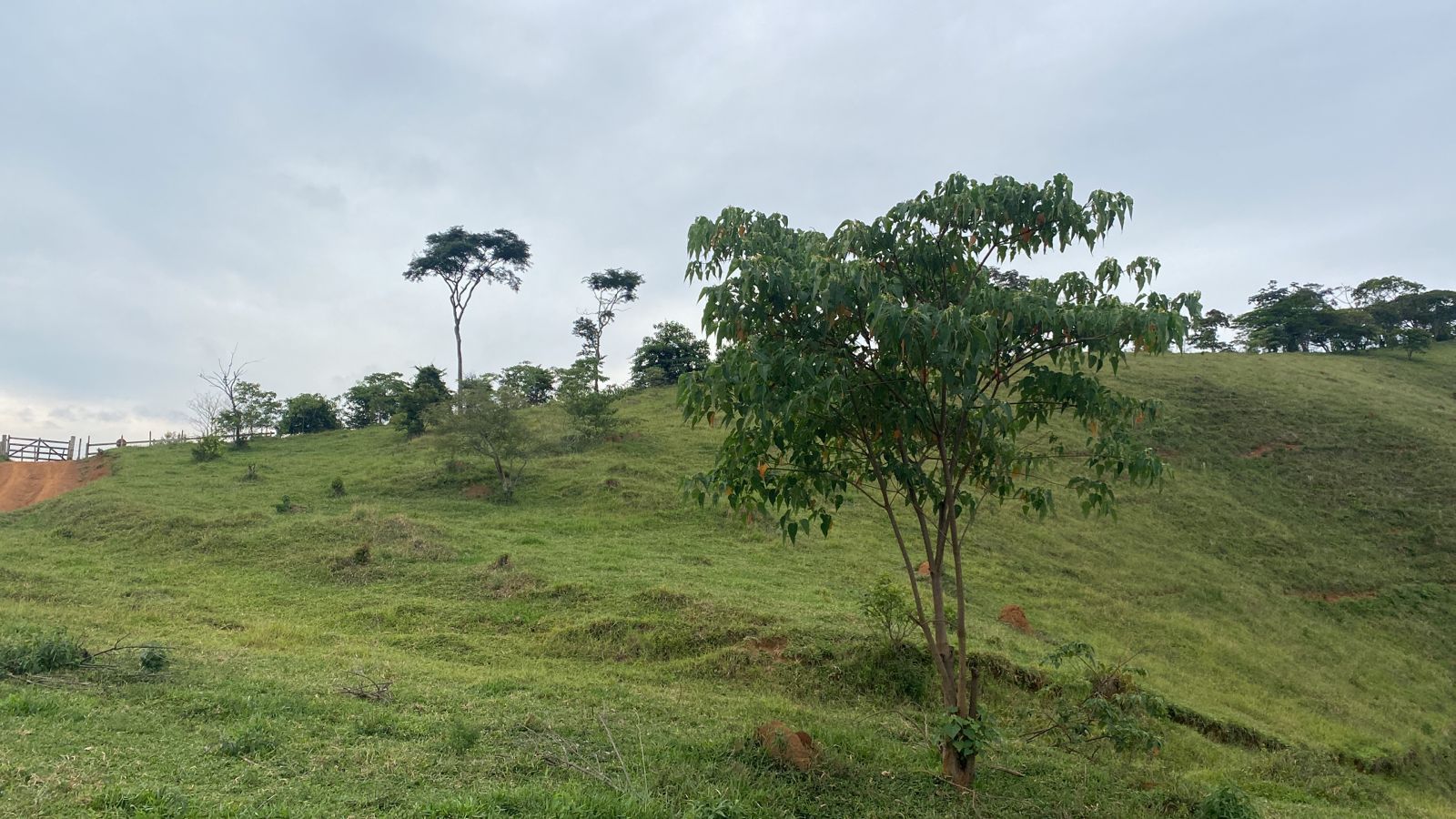 Sítio 26 Hectares Santos Dumont